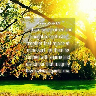 Picture 04 - Psalms 35:26 KJV - Let them be ashamed and brought to confusion - Bible Verse Picture