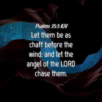 Picture 04 - Psalms 35:5 KJV - Let them be as chaff before the wind: and let the - Bible Verse Picture