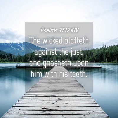 Picture 04 - Psalms 37:12 KJV - The wicked plotteth against the just, and - Bible Verse Picture