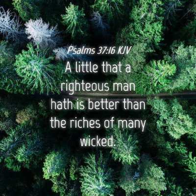 Picture 04 - Psalms 37:16 KJV - A little that a righteous man hath is better than - Bible Verse Picture