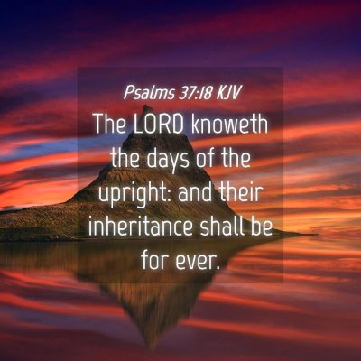 Picture 04 - Psalms 37:18 KJV - The LORD knoweth the days of the upright: and - Bible Verse Picture