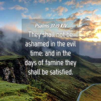 Picture 04 - Psalms 37:19 KJV - They shall not be ashamed in the evil time: and - Bible Verse Picture