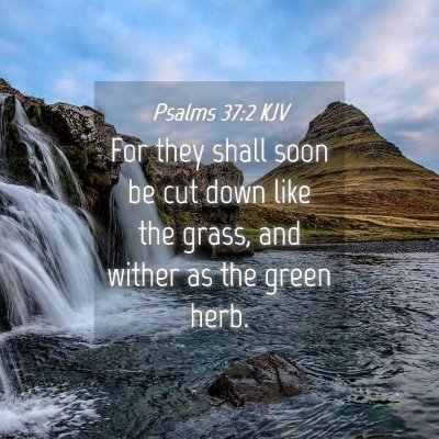 Picture 04 - Psalms 37:2 KJV - For they shall soon be cut down like the grass, - Bible Verse Picture