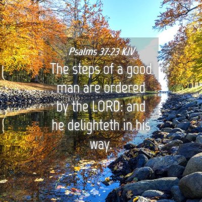 Picture 04 - Psalms 37:23 KJV - The steps of a good man are ordered by the LORD: - Bible Verse Picture
