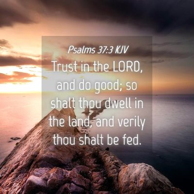 Picture 04 - Psalms 37:3 KJV - Trust in the LORD, and do good; so shalt thou - Bible Verse Picture