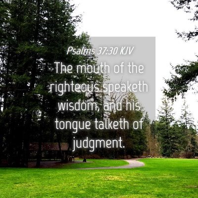 Picture 04 - Psalms 37:30 KJV - The mouth of the righteous speaketh wisdom, and - Bible Verse Picture