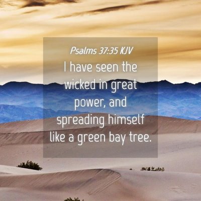Picture 04 - Psalms 37:35 KJV - I have seen the wicked in great power, and - Bible Verse Picture