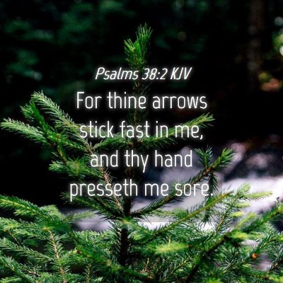 Picture 04 - Psalms 38:2 KJV - For thine arrows stick fast in me, and thy hand - Bible Verse Picture