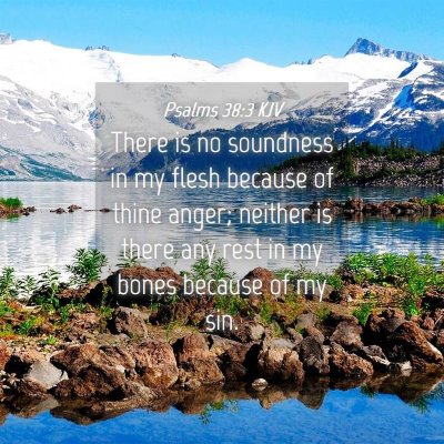 Picture 04 - Psalms 38:3 KJV - There is no soundness in my flesh because of - Bible Verse Picture