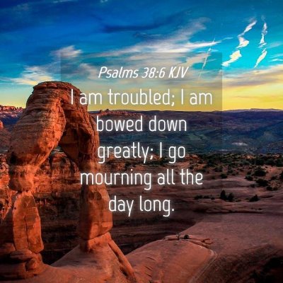 Picture 04 - Psalms 38:6 KJV - I am troubled; I am bowed down greatly; I go - Bible Verse Picture