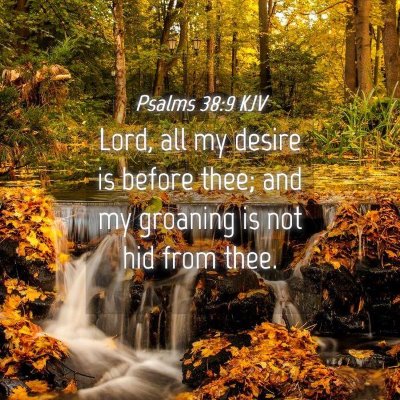 Picture 04 - Psalms 38:9 KJV - Lord, all my desire is before thee; and my - Bible Verse Picture