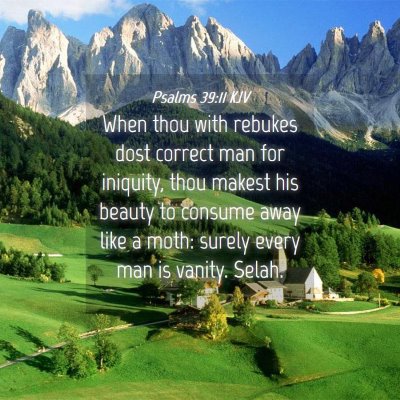 Picture 04 - Psalms 39:11 KJV - When thou with rebukes dost correct man for - Bible Verse Picture