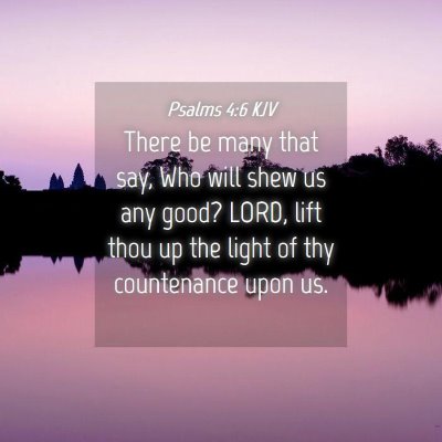 Picture 04 - Psalms 4:6 KJV - There be many that say, Who will shew us any - Bible Verse Picture