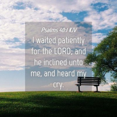 Picture 04 - Psalms 40:1 KJV - I waited patiently for the LORD; and he inclined - Bible Verse Picture