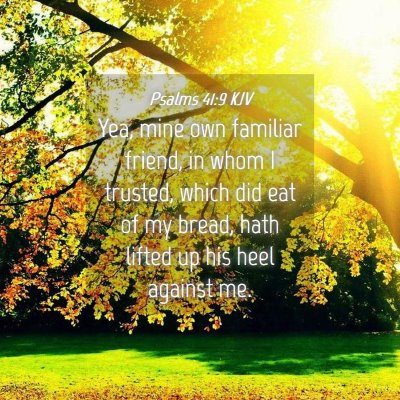 Picture 04 - Psalms 41:9 KJV - Yea, mine own familiar friend, in whom I trusted, - Bible Verse Picture