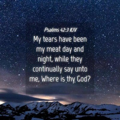 Picture 04 - Psalms 42:3 KJV - My tears have been my meat day and night, while - Bible Verse Picture