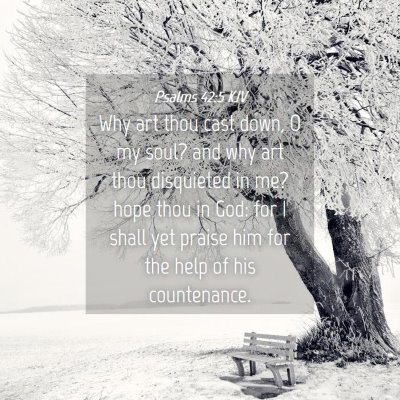 Picture 04 - Psalms 42:5 KJV - Why art thou cast down, O my soul? and why art - Bible Verse Picture