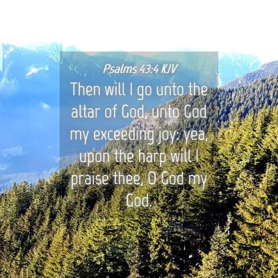 Picture 04 - Psalms 43:4 KJV - Then will I go unto the altar of God, unto God my - Bible Verse Picture