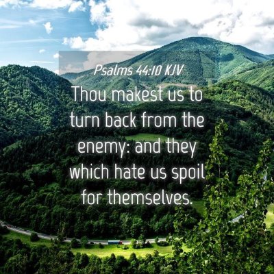 Picture 04 - Psalms 44:10 KJV - Thou makest us to turn back from the enemy: and - Bible Verse Picture