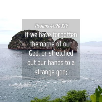 Picture 04 - Psalms 44:20 KJV - If we have forgotten the name of our God, or - Bible Verse Picture
