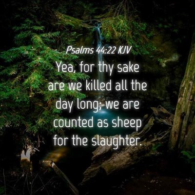 Picture 04 - Psalms 44:22 KJV - Yea, for thy sake are we killed all the day long; - Bible Verse Picture