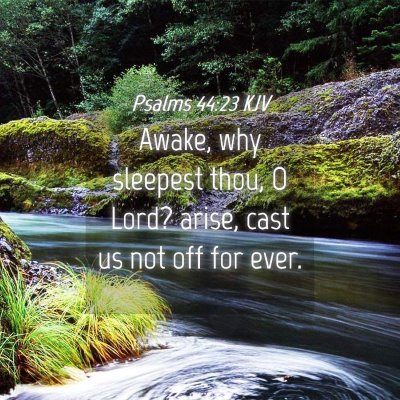 Picture 04 - Psalms 44:23 KJV - Awake, why sleepest thou, O Lord? arise, cast us - Bible Verse Picture