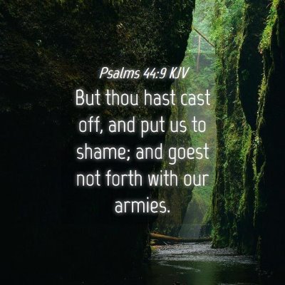 Picture 04 - Psalms 44:9 KJV - But thou hast cast off, and put us to shame; and - Bible Verse Picture