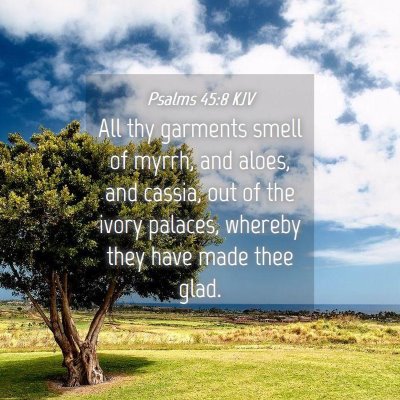 Picture 04 - Psalms 45:8 KJV - All thy garments smell of myrrh, and aloes, and - Bible Verse Picture
