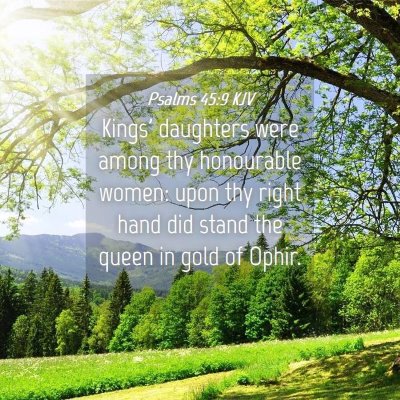 Picture 04 - Psalms 45:9 KJV - Kings' daughters were among thy honourable women: - Bible Verse Picture