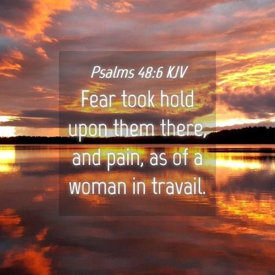 Picture 04 - Psalms 48:6 KJV - Fear took hold upon them there, and pain, as of a - Bible Verse Picture