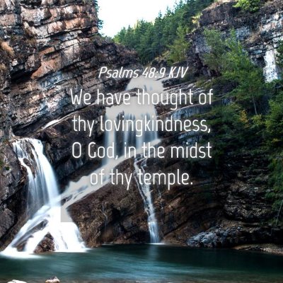 Picture 04 - Psalms 48:9 KJV - We have thought of thy lovingkindness, O God, in - Bible Verse Picture