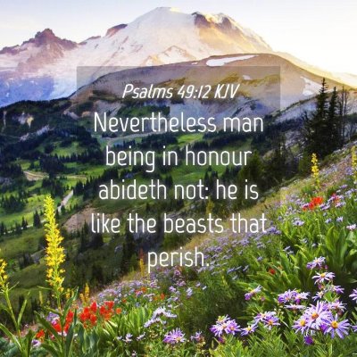 Picture 04 - Psalms 49:12 KJV - Nevertheless man being in honour abideth not: he - Bible Verse Picture