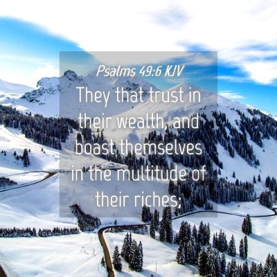 Picture 04 - Psalms 49:6 KJV - They that trust in their wealth, and boast - Bible Verse Picture