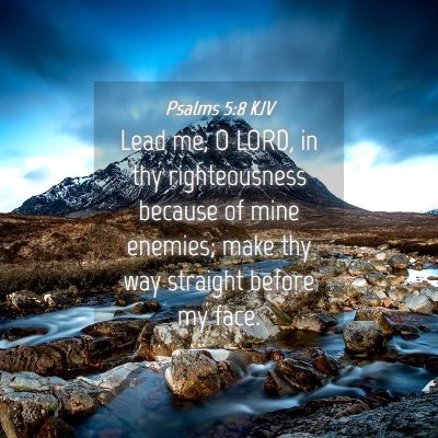 Picture 04 - Psalms 5:8 KJV - Lead me, O LORD, in thy righteousness because of - Bible Verse Picture