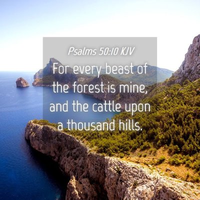 Picture 04 - Psalms 50:10 KJV - For every beast of the forest is mine, and the - Bible Verse Picture