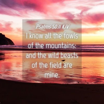 Picture 04 - Psalms 50:11 KJV - I know all the fowls of the mountains: and the - Bible Verse Picture