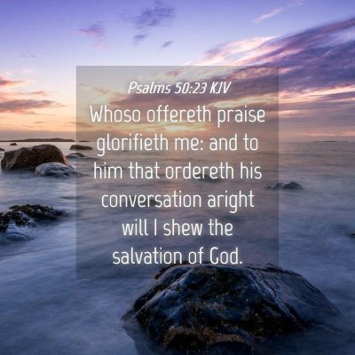 Picture 04 - Psalms 50:23 KJV - Whoso offereth praise glorifieth me: and to him - Bible Verse Picture