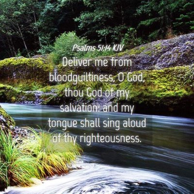 Picture 04 - Psalms 51:14 KJV - Deliver me from bloodguiltiness, O God, thou God - Bible Verse Picture