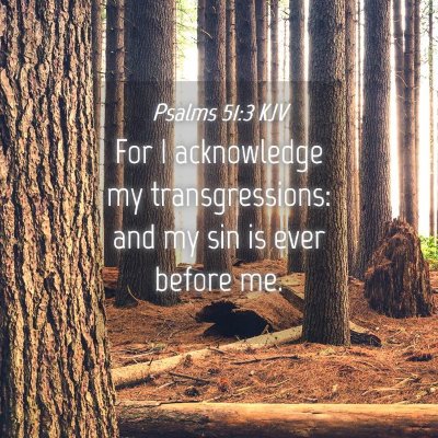 Picture 04 - Psalms 51:3 KJV - For I acknowledge my transgressions: and my sin - Bible Verse Picture