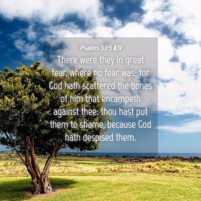Picture 04 - Psalms 53:5 KJV - There were they in great fear, where no fear was: - Bible Verse Picture