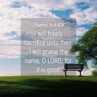 Picture 04 - Psalms 54:6 KJV - I will freely sacrifice unto thee: I will praise - Bible Verse Picture