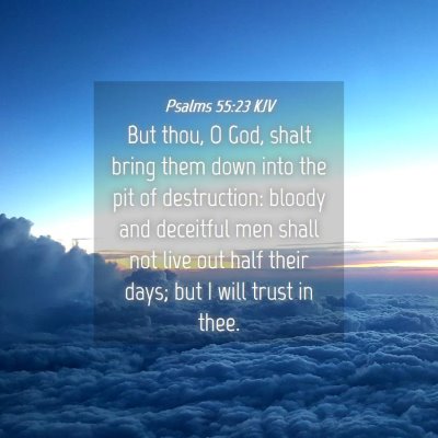 Picture 04 - Psalms 55:23 KJV - But thou, O God, shalt bring them down into the - Bible Verse Picture