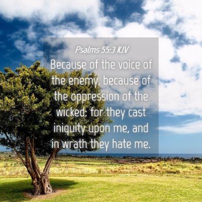 Picture 04 - Psalms 55:3 KJV - Because of the voice of the enemy, because of the - Bible Verse Picture