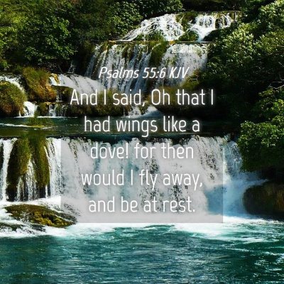 Picture 04 - Psalms 55:6 KJV - And I said, Oh that I had wings like a dove! for - Bible Verse Picture
