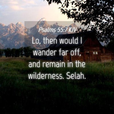 Picture 04 - Psalms 55:7 KJV - Lo, then would I wander far off, and remain in - Bible Verse Picture