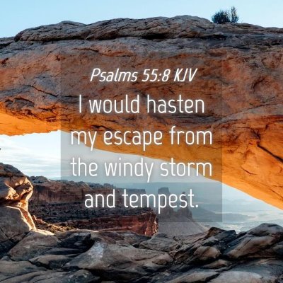 Picture 04 - Psalms 55:8 KJV - I would hasten my escape from the windy storm and - Bible Verse Picture