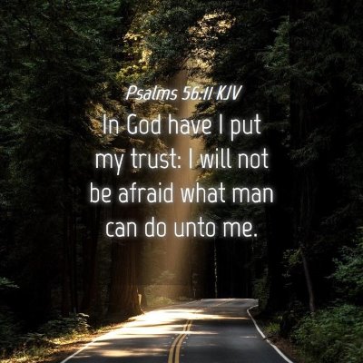 Picture 04 - Psalms 56:11 KJV - In God have I put my trust: I will not be afraid - Bible Verse Picture