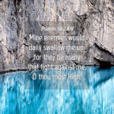 Picture 04 - Psalms 56:2 KJV - Mine enemies would daily swallow me up: for they - Bible Verse Picture