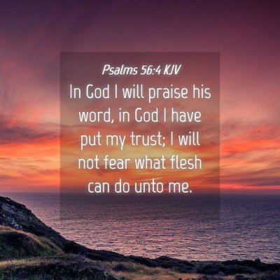 Picture 04 - Psalms 56:4 KJV - In God I will praise his word, in God I have put - Bible Verse Picture