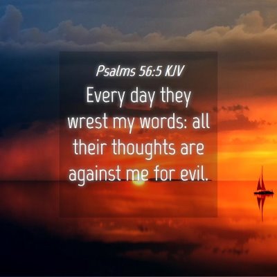 Picture 04 - Psalms 56:5 KJV - Every day they wrest my words: all their thoughts - Bible Verse Picture
